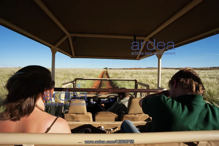 : Tourists - on safari at the edge of the Namib Desert : Tourists - on safari at the edge of the Namib Desert
