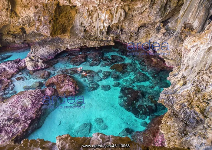 : Tourists snorkeling in the Avaiki rock tide pools : Tourists snorkeling in the Avaiki rock tide pools
