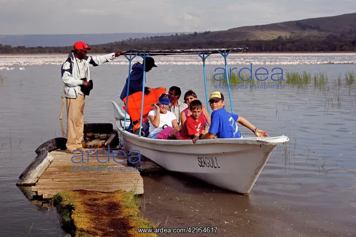  : Tourists taking boat trip to view flamingos