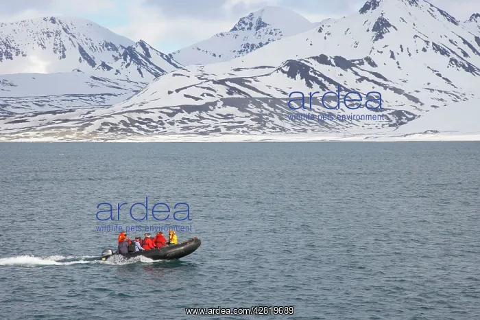 : Tourists Travelling by Zodiac : Tourists Travelling by Zodiac