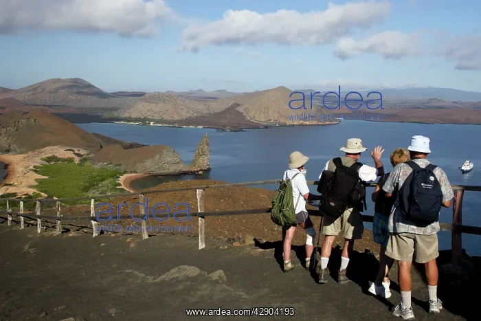 : Tourists at viewpoint on Bartolome island : Tourists at viewpoint on Bartolome island