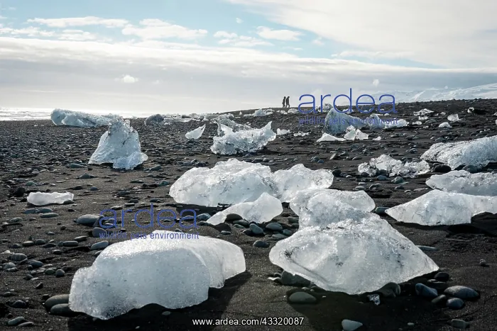 : Two tourists walking at horizon, ice floes on black : Two tourists walking at horizon, ice floes on black