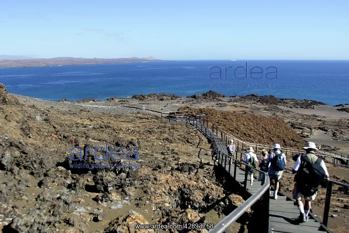 : Tourists walking along path on Bartolome Island