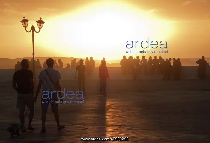: Tourists watching sunset - the esplanade between : Tourists watching sunset - the esplanade between