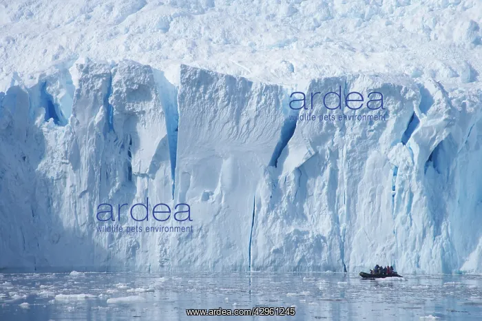 : Tourists in Zodiac - in front of glacier : Tourists in Zodiac - in front of glacier