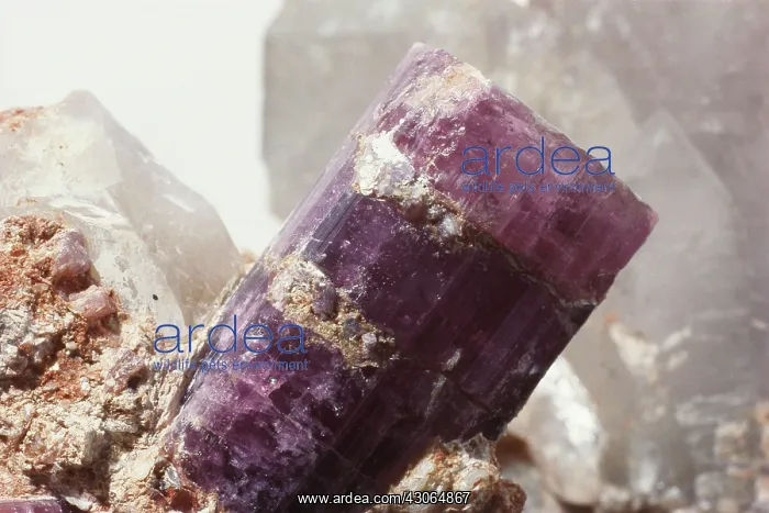 : Tourmaline : Tourmaline