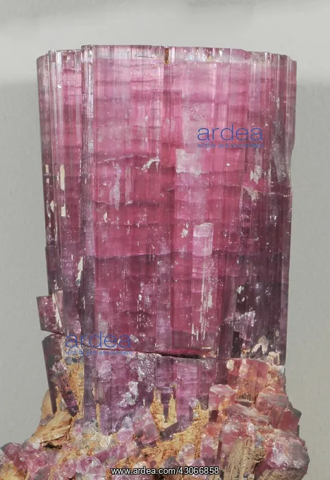 : Tourmaline : Tourmaline