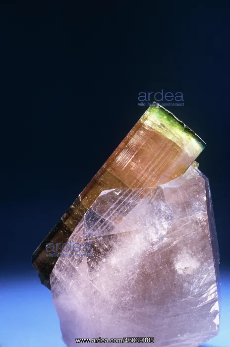 : Tourmaline (elbaite) : Tourmaline (elbaite)