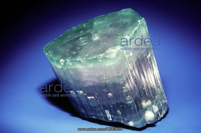 : Tourmaline (elbaite) from Brazil : Tourmaline (elbaite) from Brazil