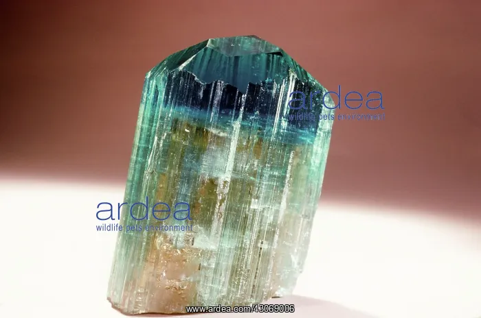 : Tourmaline (elbaite) from Brazil : Tourmaline (elbaite) from Brazil