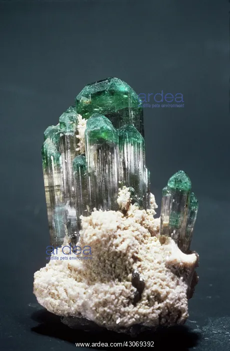 : Tourmaline (elbaite) from Brazil : Tourmaline (elbaite) from Brazil