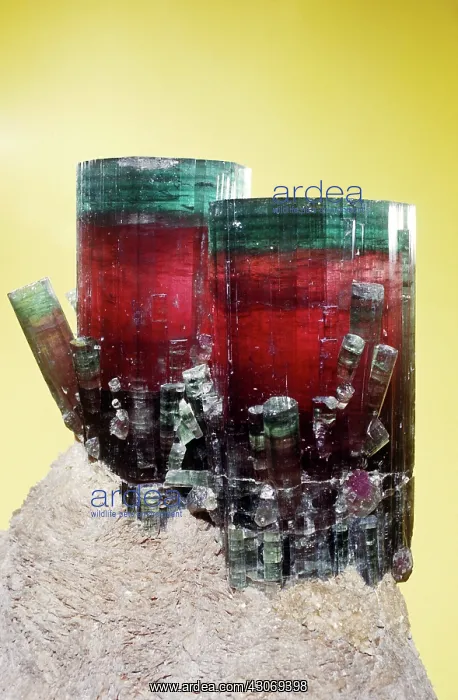 : Tourmaline (elbaite) from Pala, California : Tourmaline (elbaite) from Pala, California