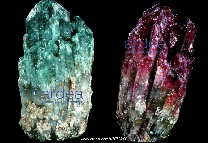 : Tourmaline and Rubellite : Tourmaline and Rubellite