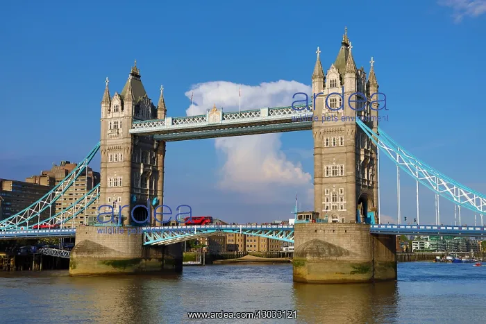 : Tower Bridge, London, England : Tower Bridge, London, England