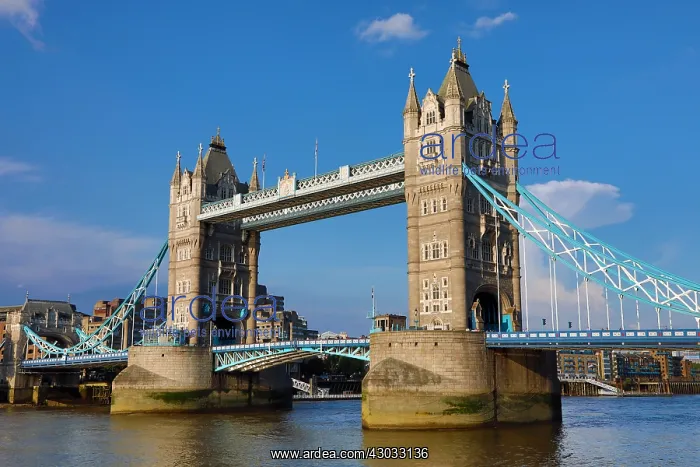  : Tower Bridge, London, England
