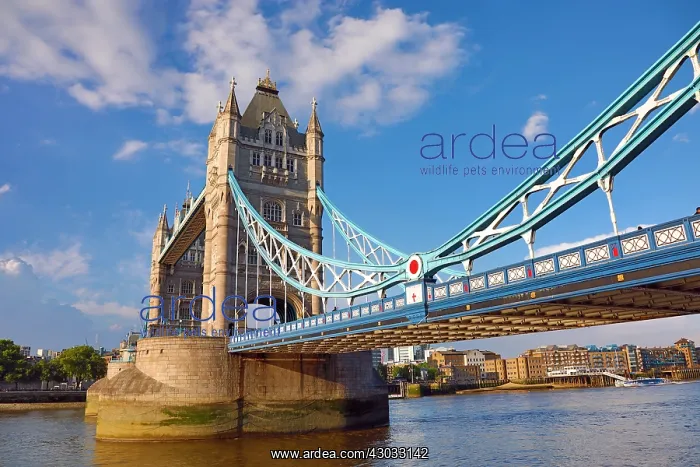 : Tower Bridge, London, England : Tower Bridge, London, England