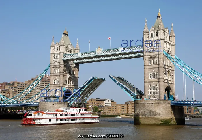 : Tower Bridge raised for Dixie Queen Paddlesteamer : Tower Bridge raised for Dixie Queen Paddlesteamer