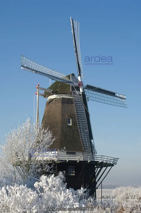 : Tower mill and flourmill De Vlijt : Tower mill and flourmill De Vlijt