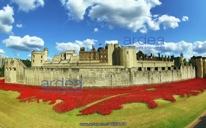: Tower of London : Tower of London