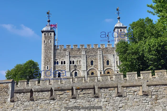  : Tower of London