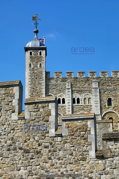  : Tower of London