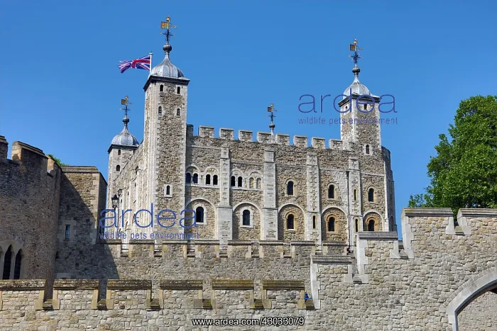  : Tower of London