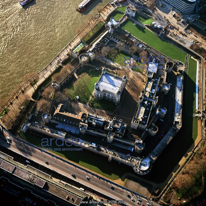 : Tower of London (Her Majesty's Royal Palace and : Tower of London (Her Majesty's Royal Palace and