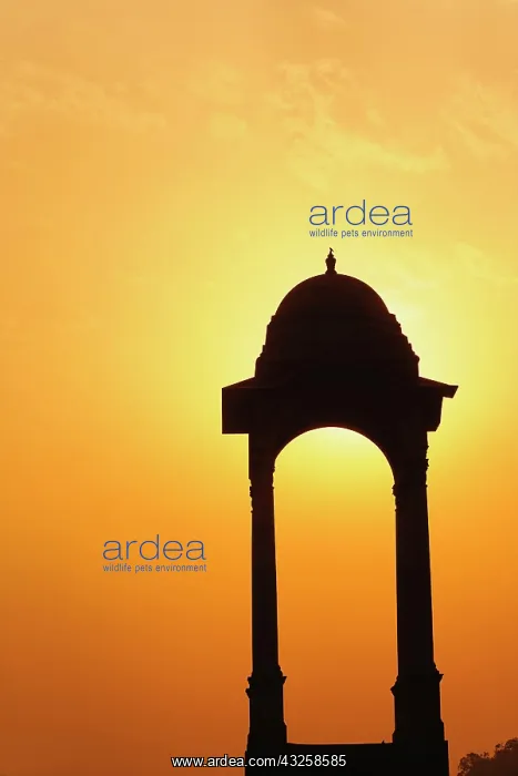 : Tower near the India Gate silhouetted at : Tower near the India Gate silhouetted at