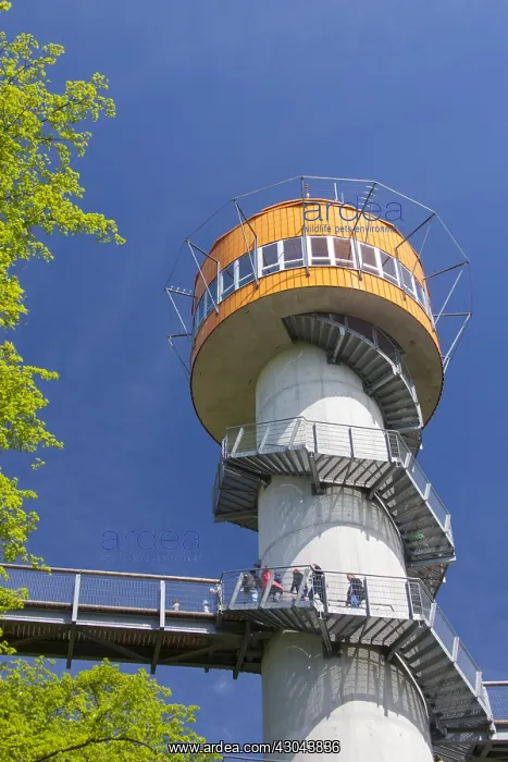 : Tower of the tree-top trail at the Hainich National : Tower of the tree-top trail at the Hainich National