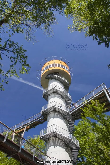 : Tower of the tree-top trail at the Hainich National : Tower of the tree-top trail at the Hainich National