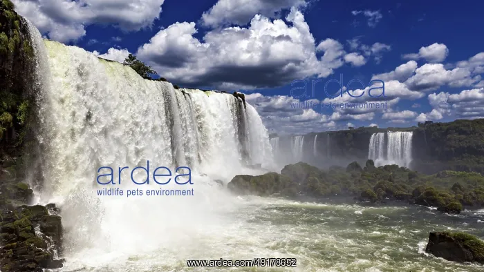 : Towering waterfalls flow powerfully under dramatic skies : Towering waterfalls flow powerfully under dramatic skies