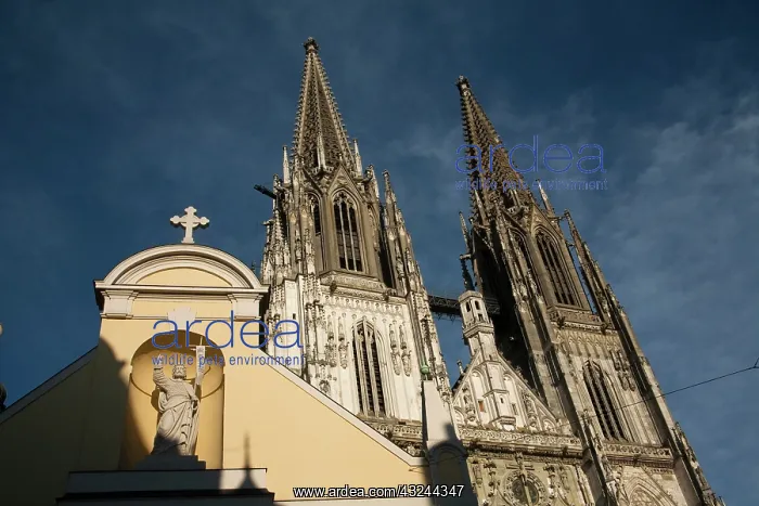  : Towers of St. Peter's Cathedral in Old Town