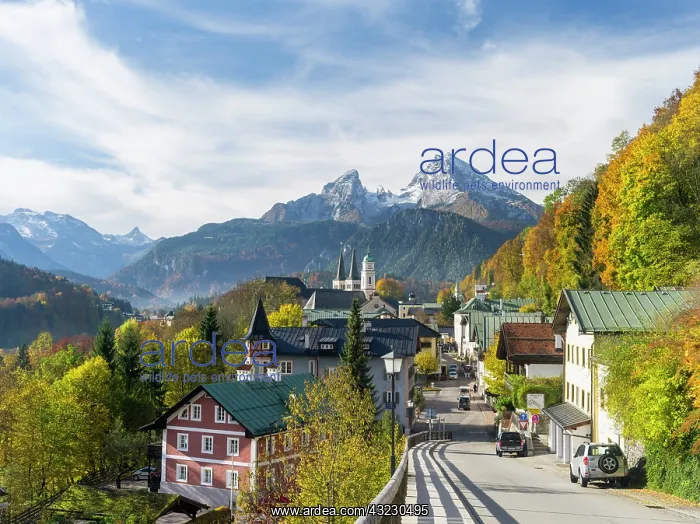 : The town of Berchtesgaden and Mt. Watzmann : The town of Berchtesgaden and Mt. Watzmann