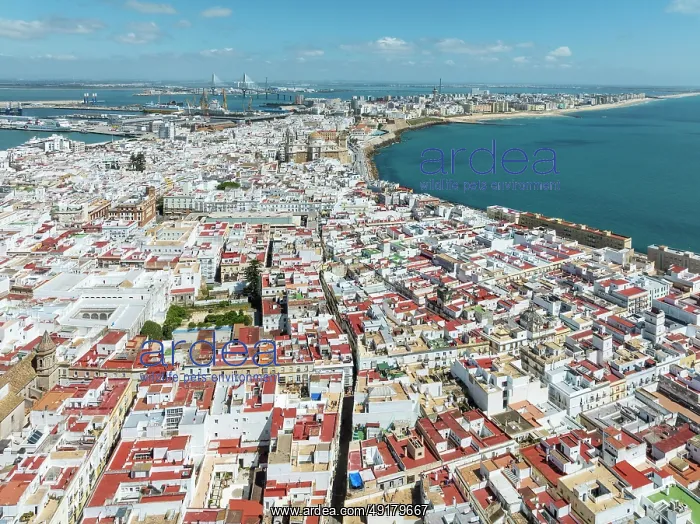 : The town of Cádiz with the old quarter in the foreground : The town of Cádiz with the old quarter in the foreground