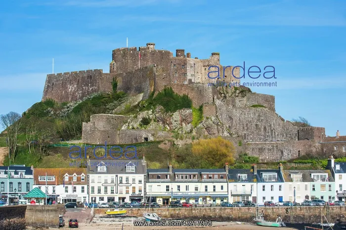 : Town with Gorey Castle, Mont Orgueil, Jersey, Channel : Town with Gorey Castle, Mont Orgueil, Jersey, Channel