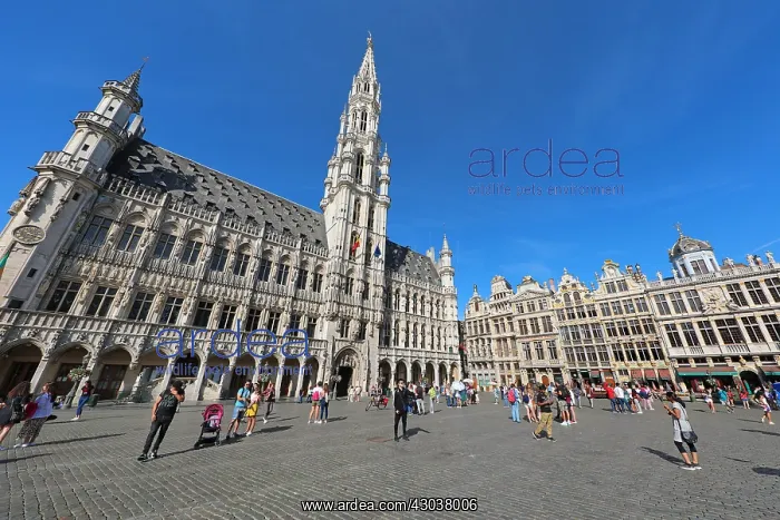 : The Town Hall and buildings of the Grand Place or : The Town Hall and buildings of the Grand Place or