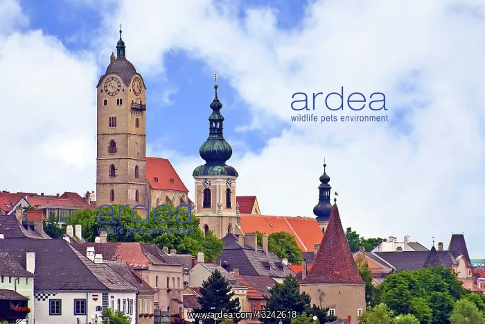 : The town of Krems along the Danube River : The town of Krems along the Danube River