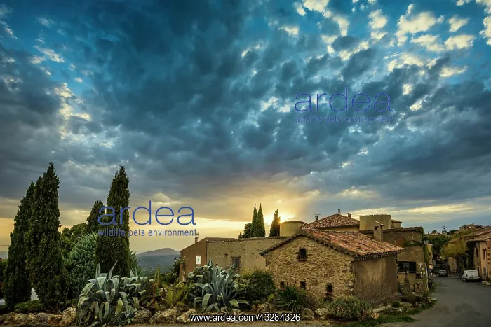 : Town at sunset with cloudy skies, Tourtour, D&, x9c21;rtement : Town at sunset with cloudy skies, Tourtour, D&, x9c21;rtement