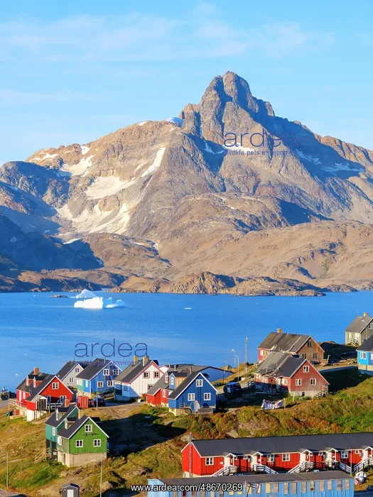 : Town Tasiilaq (former Ammassalik), the biggest town in : Town Tasiilaq (former Ammassalik), the biggest town in