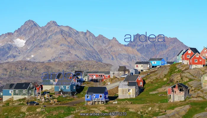 : Town Tasiilaq (former Ammassalik), the biggest town in