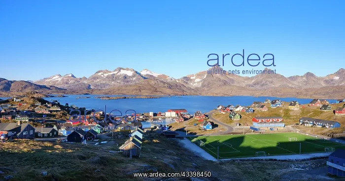  : Town Tasiilaq (formerly called Ammassalik), Kingdom