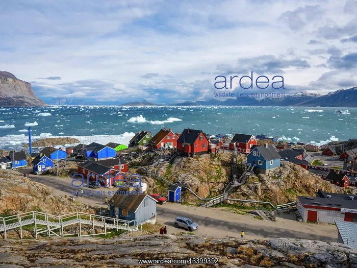  : The town Uummannaq in the northwest of Greenland