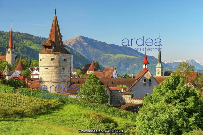 : Town view with Capuchin tower and church, old town : Town view with Capuchin tower and church, old town