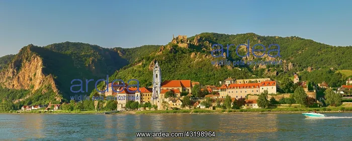 : Townscape with collegiate church and castle ruins : Townscape with collegiate church and castle ruins