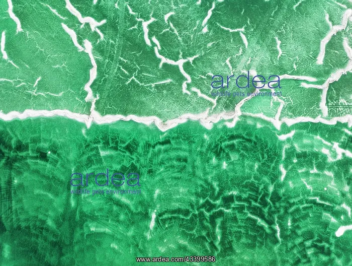 : Detail of a toxic phosphogypsum waste pond in the : Detail of a toxic phosphogypsum waste pond in the