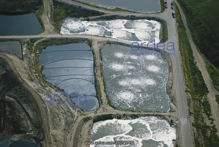 : Toxic Waste Dump : Toxic Waste Dump