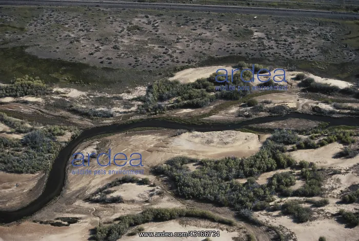 : Toxic Waste Site : Toxic Waste Site