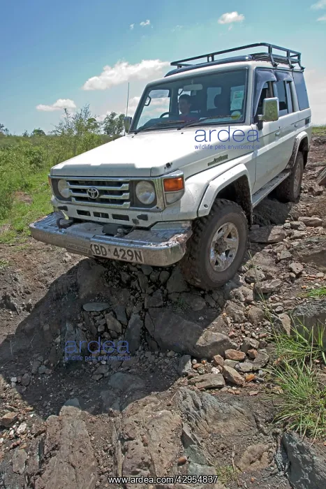 : Toyota Cruiser 4x4 - driving down rocky gully : Toyota Cruiser 4x4 - driving down rocky gully