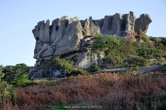 : TrA gastel La Couronne, Brittany, France : TrA gastel La Couronne, Brittany, France