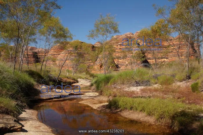 : Track past Beehives and waterhole to Cathedral : Track past Beehives and waterhole to Cathedral